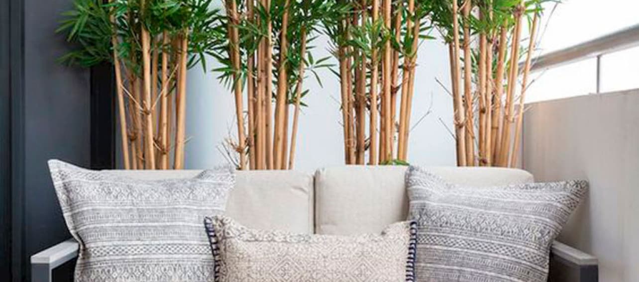 3 ideas para mantener la privacidad de tu balcón