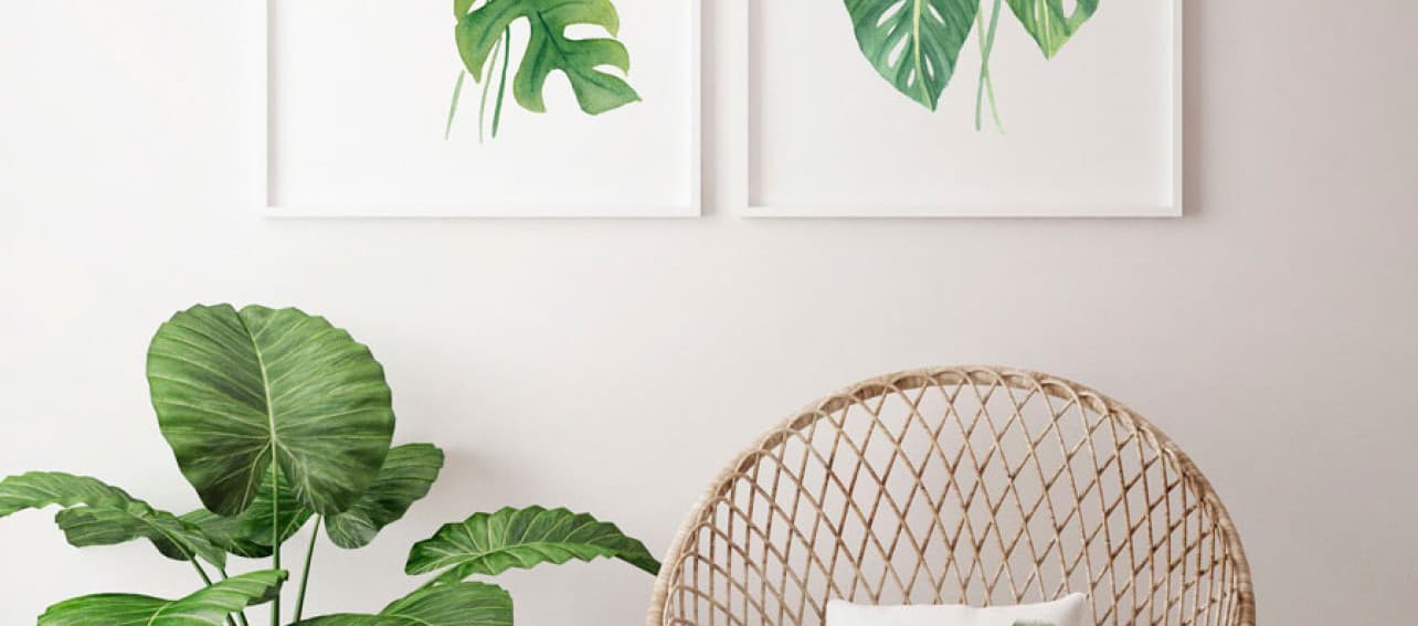 5 tendencias que deberías seguir este verano