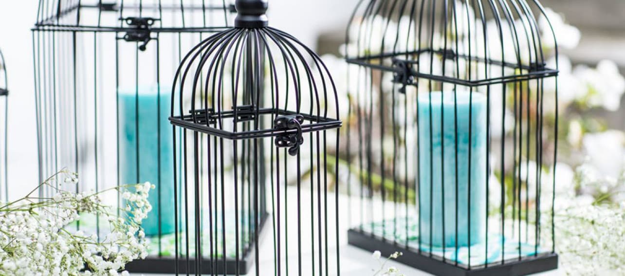 6 usos para tu jaula decorativa