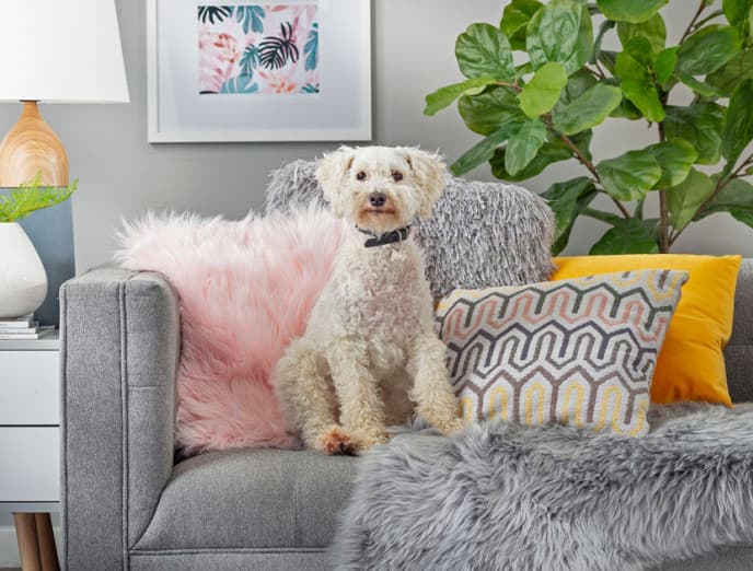 5 ideas decorativas para ahorrar dinero